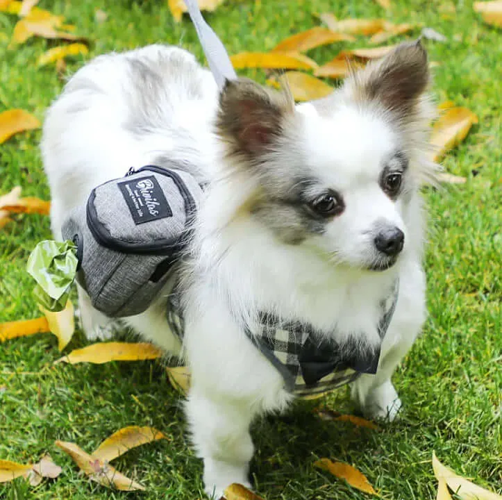 Dog Fashion Waste Bag Carrier