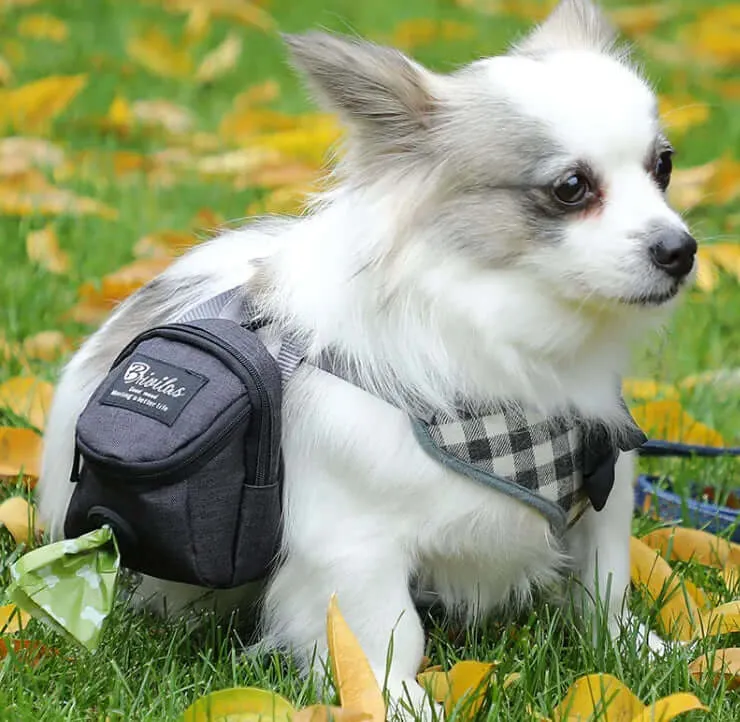 Dog Fashion Waste Bag Carrier