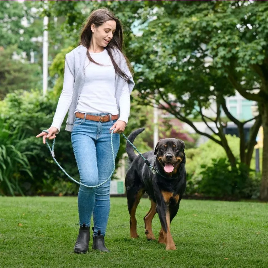 RC Pets Rope Dog Leash